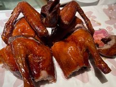 -大鸽饭(北京路店)