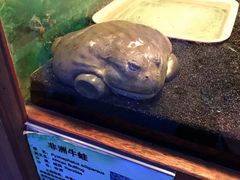 -上海大自然野生昆虫馆(东方明珠·爬宠昆虫探索中心)