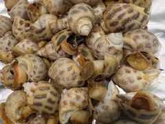 -大东海海鲜酒楼(渔人码头总店)