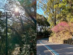 -杭州半山国家森林公园