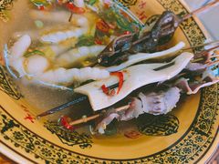 -明洋钵钵鸡(春田小区店)