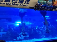 -成都浩海立方海洋公园