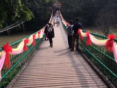 -南宁良凤江国家森林公园