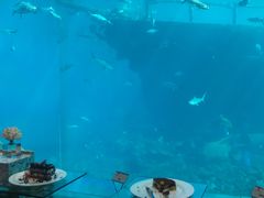 -瑞德姆美人鱼海底演艺主题餐厅(亚龙湾店)