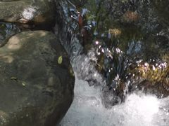 -东天目山风景区
