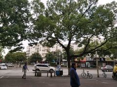 -茶百道(翠柏店)