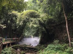 -川西竹海景区