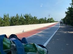 -日照海滨国家森林公园