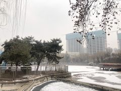 -黄村公园