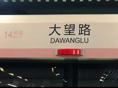 -大望路(地铁站)