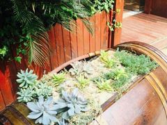 android_upload_pic-漫渡庄绿岛花园•隐世庭园菜(滨湖店)