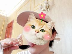 -北京张裕爱斐堡酒庄
