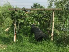 -同銮特种养殖场·龙虾垂钓