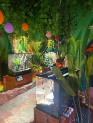 -酷嗒动物文化乐园(cutezoo西溪乐天城店)