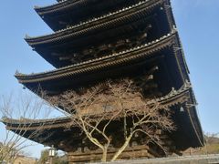 -有栖山 清光院 清水寺