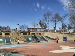 -大兴滨河森林公园