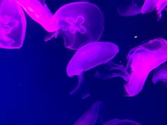 -成都浩海立方海洋公园