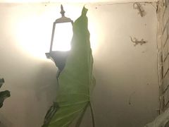 -脚下咖啡·CHILL酒馆(灵光东巷店)