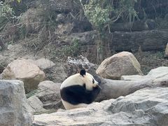 -宁波野生动物园