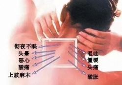 -薇薇安花系SPA