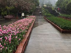 -南山植物园