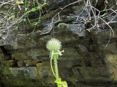 -龙门涧景区