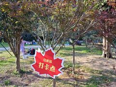 -广州市帽峰山景区