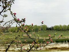 -洨河生态公园