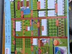 -前小桔亲子创意农场·草莓采摘·露营烧烤