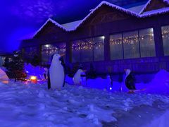-世界之窗阿尔卑斯冰雪世界
