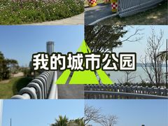 -华侨公园