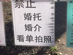 -沈阳南湖公园