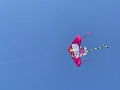 -新江湾城公园