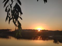 -丁香湖公园