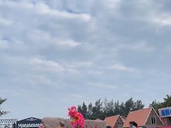 -江山半岛白浪滩景区