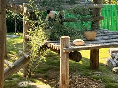 -西霞口神雕山野生动物世界