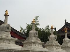 -西安市广仁寺
