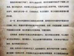 -翡翠森林宠物火化殡葬(通州店)