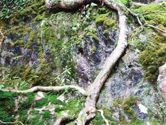 -西岭雪山大飞水景区