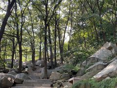 -沂蒙山旅游区云蒙景区(蒙山国家森林公园)