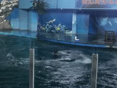-苏州海洋馆