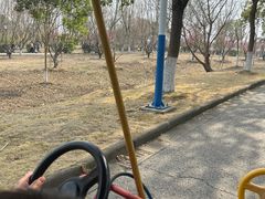 -南湖湿地公园