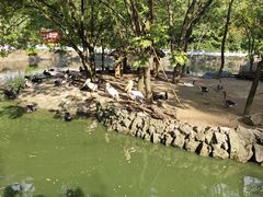 -黔灵山公园