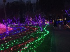 -顺鑫绿色度假村