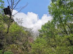 -秦岭终南山世界地质公园翠华山景区