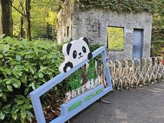 -都江堰中华大熊猫苑
