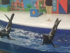 -成都浩海立方海洋公园