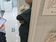 -悦宠凯宝动物医院·牙科·皮肤科(朝阳北路店)