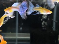 -海上海弘基休闲广场