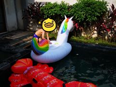 -候鸟水榕庄度假酒店